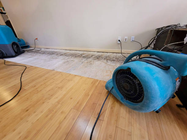 Professional Basement Flood Cleanup technician working in Rutland, SD